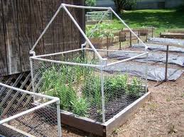 Grit Reader Contributions Diy Garden Fence Garden Fencing Garden Boxes