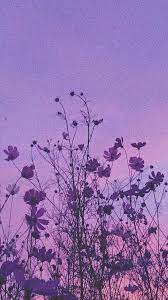 Check spelling or type a new query. Flowers Random Flowers Random Aesthetic Backgrounds Violet Aesthetic Dark Purple Aesthetic