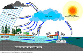 understanding your drinking water