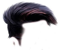 Explore Hair Png Blur Background In Photoshop Dslr Background Images