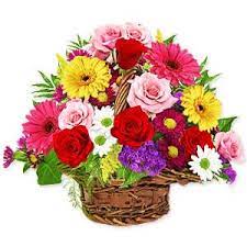Send Gerbera To Bangalore Online Gerbera Bouquet Delivery Low Cost