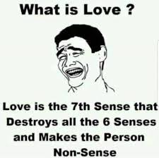 Love Destroys All The 6 Senses Some Funny Jokes Jokes Quotes Funny Positive Quotes