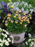 Image result