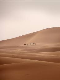 Welcome to our luxury sahara desert camping: Royalty Free Photo Three Person Riding On Camel Beside Man Walking On Sand Pickpik