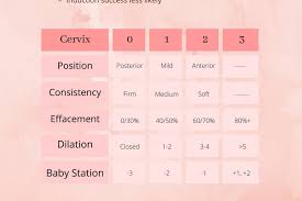 Image result for Bishop Score