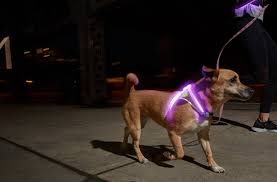 Lighthound Led Illuminated Reflective Dog Harness Noxgear