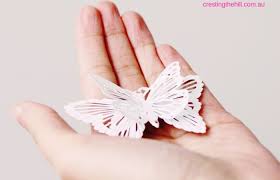 12 Facets Of Life We Can All Embrace Cresting The Hill