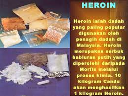 Dengar khabar, harga buah durian di pasaran sudah semakin stabil. Jenis Jenis Dadah
