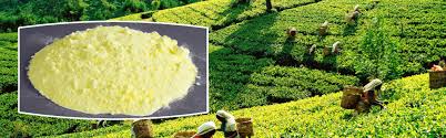 2 sulfur is an essential nutrient for plants. Kimtar Micronized Sulphur