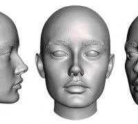 ella pair eyewear" 3D Models to Print