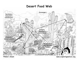 Sahara Desert Food Chain Scrapbook Frame Food Web Worksheet Flower Quotes
