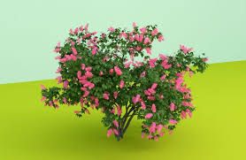 Pink Flower Garden Plant 3d Model Flower Garden Plants Plants Garden Plants
