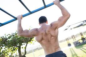 Back muscle workout back to jungle basics! The Best At Home Back Workouts For Health And Muscle Growth