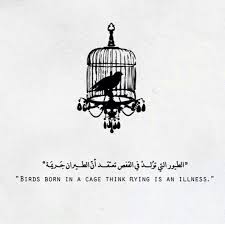 الحرية مش جريمة Knowledge Home Decor Decals Instagram Posts