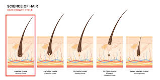 You can greatly reduce the risk of possible side effects by having your treatment performed by a medical doctor who is extremely skilled in using lasers and has. Is There A Permanent Way To Remove Unwanted Hair Cutis Laser Clinics