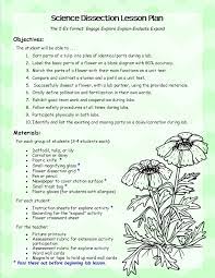 Parts Of A Flower Dissection Lab Lesson Plans And Handouts Parts Of A Flower Elementary Lesson Plans Lesson Plans For Toddlers