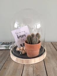 Cactus In Stolp Vereenster Decoratie Ideeen Huis Inrichting Decoratie Decoraties