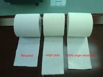 Virgin Pulp and Recycled Pulp - PaperTR