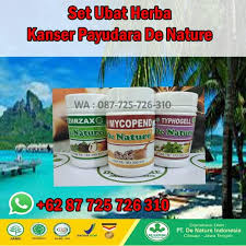 Nah, itu dia 8 cara mudah yang bisa kamu lakukan untuk mencegah kanker payudara yang dapat kamu mulai dari sekarang. List Inilah Cara Mencegah Kemunculan Kanser Payudara Punca Barah Malaysia Ubat Kanser Farmasi Punca Kanser Ubat Kanser Berkesan Ubat Barah Berkesan