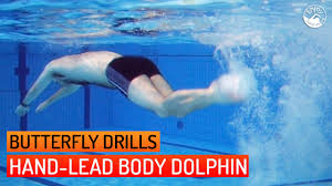 Practice these 8 basic swimming strokes today. Learn To Swim Butterfly Hand Lead Body Dolphin Drill