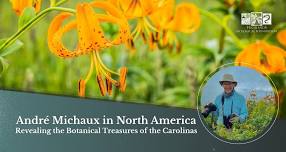 André Michaux in North America: Revealing the Botanical Treasures of the Carolinas
