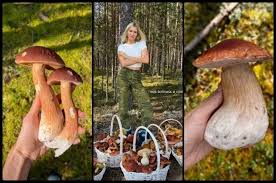 Модель Playboy из Новосибирской области Перминова показала грибное порно |  АиФ Новосибирск