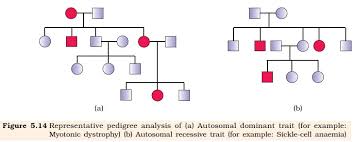 Genetics How Can I Confirm That The Given Pedigree Chart