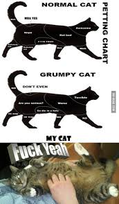 Cat Petting Chart Extended 9gag
