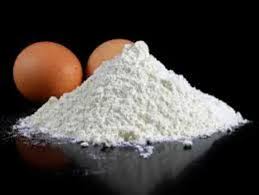 We did not find results for: Know The Use Of Eggshells In Home Made Fertilisers