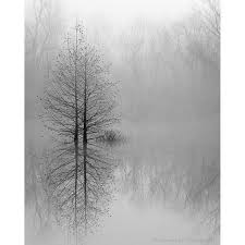 Amazing Black And White Photography Prints Minimalist Black And White Landscape With Trees Reflecting In Misty Lake Minimalist Landscape Black And White Landscape Landscape Prints