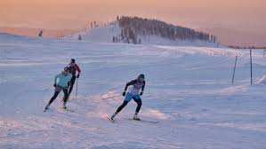 Like any sport, be in an athletic position, he said, advising knees slightly bent, head up and hands out in front and inside the frame of. Nordic Downhill Ski Techniques For Safety And Speed Nordic Ski Lab