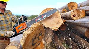 Check spelling or type a new query. Testing The Cheapest Chainsaw On Amazon Youtube