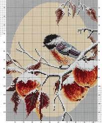 Arawak coqui counted cross stitch patterns. 40 Coqui Ideas Cross Stitching Cross Stitch Patterns Cross Stitch