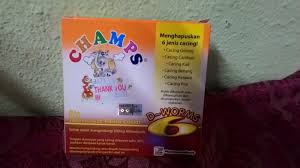 14.02.2021 · sunday, february 14th, 2021. Anugerah Kami Masa Untuk Ubat Cacing Belog Zai Zamree