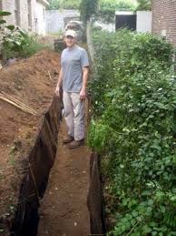 It is likely the most versatile and resourceful plant on earth. Pin On Fence