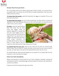 If you live in a state with a warm climate most of the year. How To Get Rid Of Fleas From Your Home And Pets