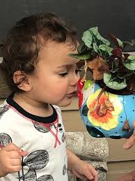 Apple…Tree by Ginger Keller Gannaway