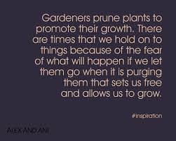 Charmed Life Your Daily Dose Of Alex And Ani Energy Daily Motivational Quotes More Than Words Alex And Ani