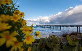 Ellen browning scripps memorial pier is one of the largest active research piers in the world. Equity Diversity Inclusion Scripps Institution Of Oceanography