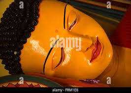 Sri lanka temple visitor hi-res stock photography and images