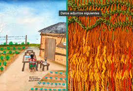 Bildergebnis für Rosa Elena Curruchich