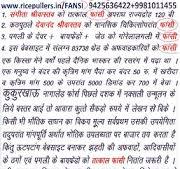 ricepuller nahihotahe | Flickr