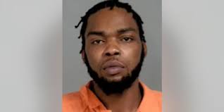 Michigan man wanted after 8 starving dogs rescued, 6 others found rotting  in yard