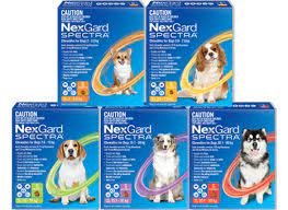 It gives protection against fleas for up to five weeks and controls ticks for up to four weeks. Nexgard Spectra Nexgard Range Official Website