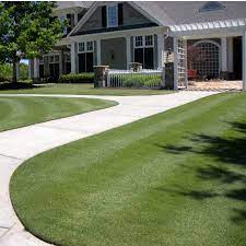 Augustine varieties and the zoysia grass varieties need anywhere from five to seven hours of direct sunlight a day. Tifgrand Bermuda Atlanta Sod Company