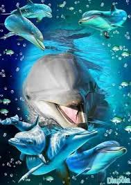 Pin By Aubugeau On Dolphins Dolphin Art Ocean Creatures Art Nature Animals