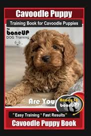 Even at eight weeks old, he is capable of soaking up everything you can teach him. Cavoodle Puppy Training Book For Cavoodle Puppies By Boneup Dog Training Are You Ready To Bone Up Easy Training Fast Results Cavoodle Puppy Book Karen Douglas Kane 9798608422942