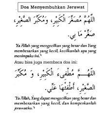 Natural Supplement For Natural Beauty 3 Cara Menghilangkan Jerawat Tanpa Menggunakan Produk Kecantikan