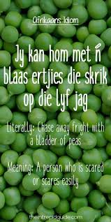 Pin On Afrikaans My Taal