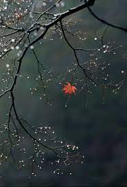 New Pics Landscape Ideas For School Thoughts There Are Plenty Of Fantastic Options This Buying The Initial In 2021 Nature Wallpaper Nature Photography Beautiful Nature